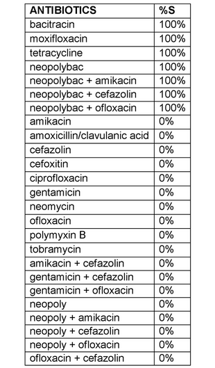 Streptococcus sanguinis